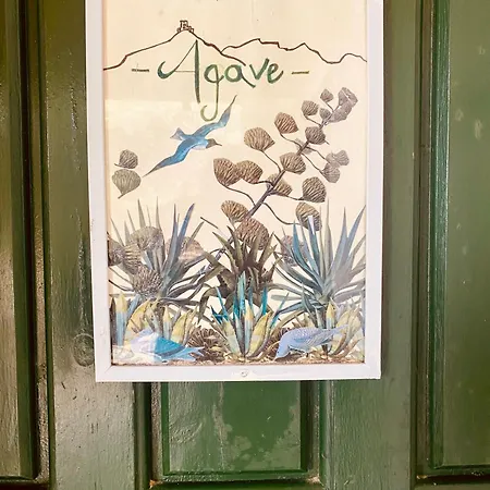 Casa Ulivo Agave At My Place Apartment *